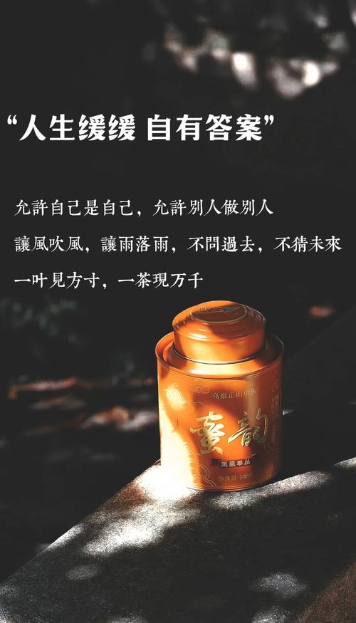 武汉品茶喝茶_武汉品茶怎么样_武汉品茶的场子